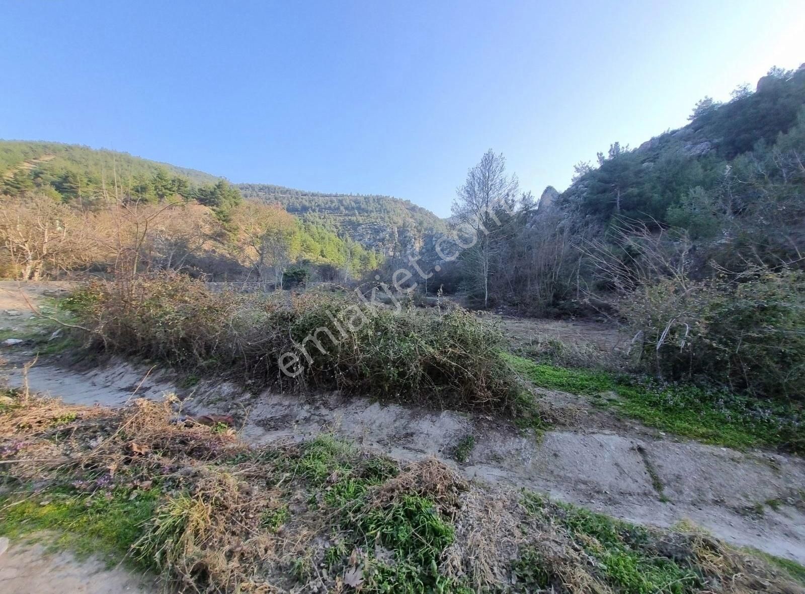 Geyve Kozan Mahallesinde 448 M² Bahçe - Görsel 13
