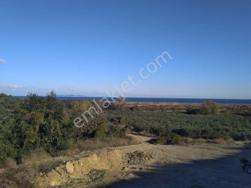 Bursa Mudanya Full Deniz Manzara, Yola Cephe, Müstakil Tapu Satılık Tarla