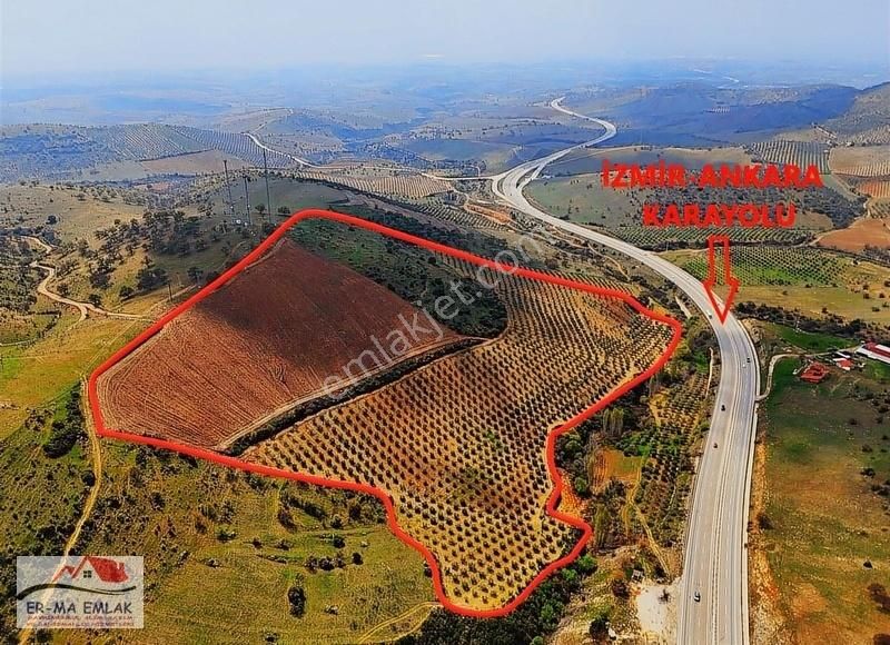 Salihli'de Satılık 93517 M2 Zeytinlik Ve Tarla (video)