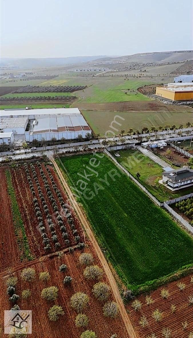 Oğuzeli Gürsu Ana Cadde Üzeri Tek Tapu İmardibi Yatırımlık Arazi