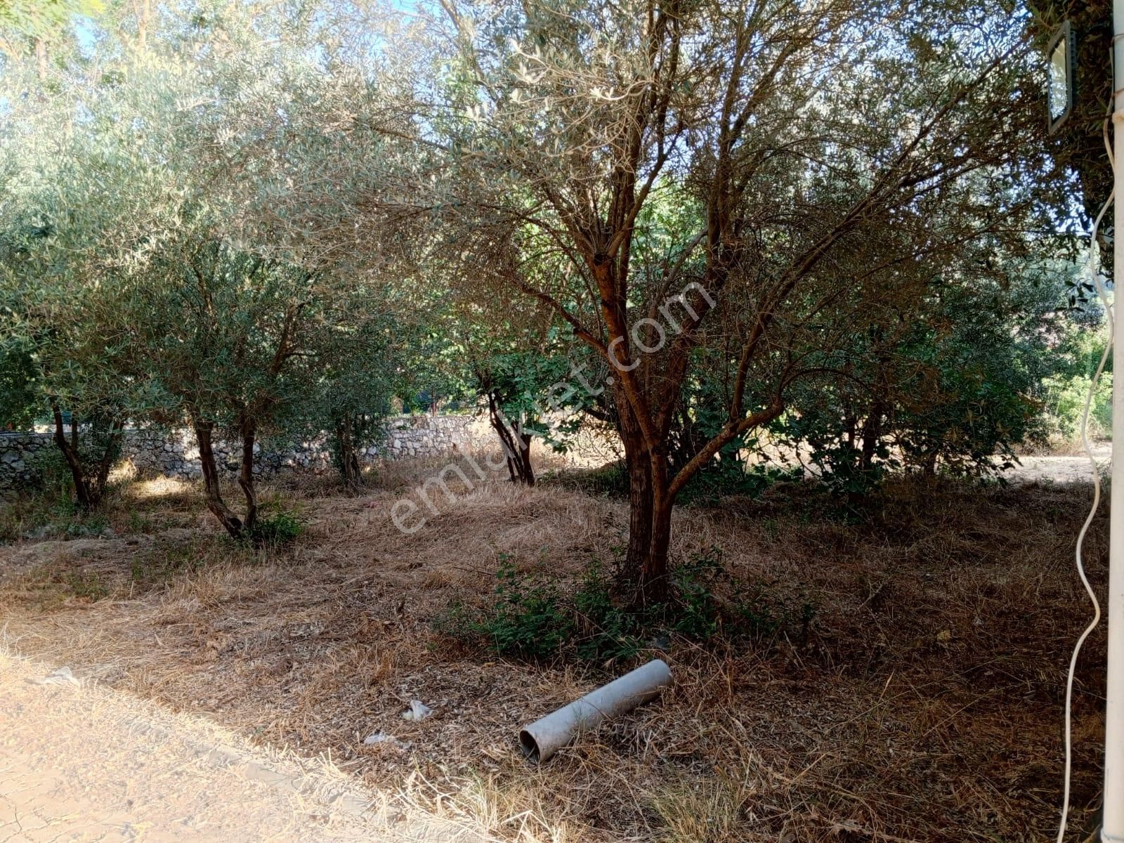 Fethiye Kayaköy'de 2.157 M² Arsa İçinde Satılık Villa - Görsel 3