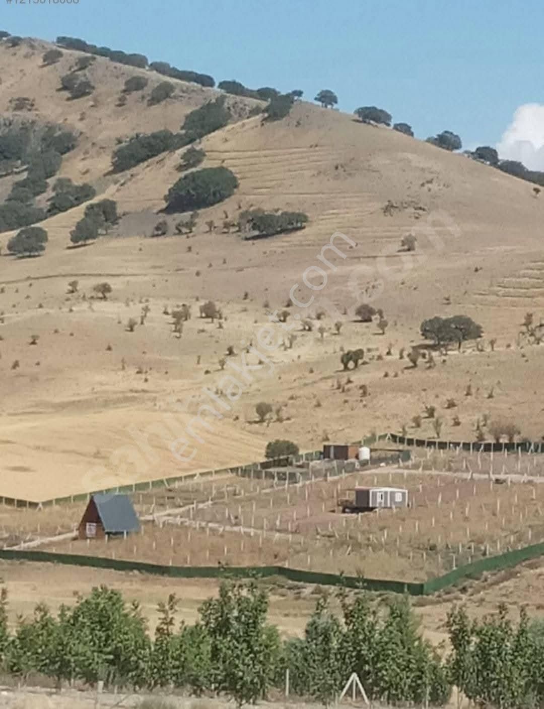 Akif'ten Ayaş Gökler Köyün'de 300 M2 Satılık Hobi Bahçesi
