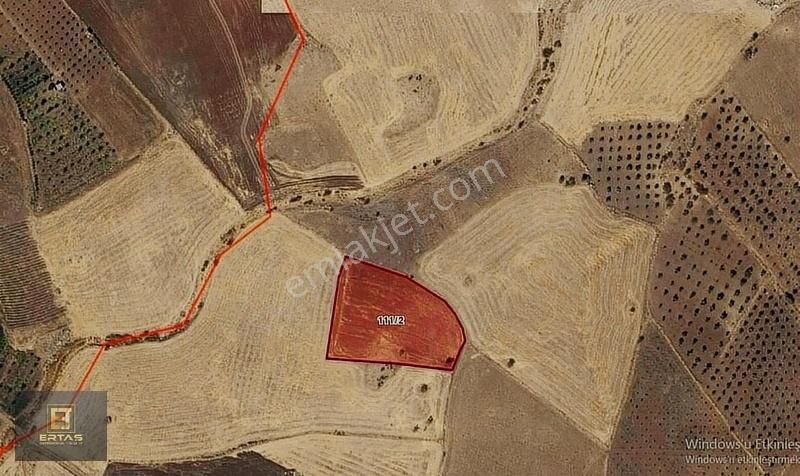 Ertaş Group'yan Yaycı Köy'ünde Satılık 5243 M2 Arazi