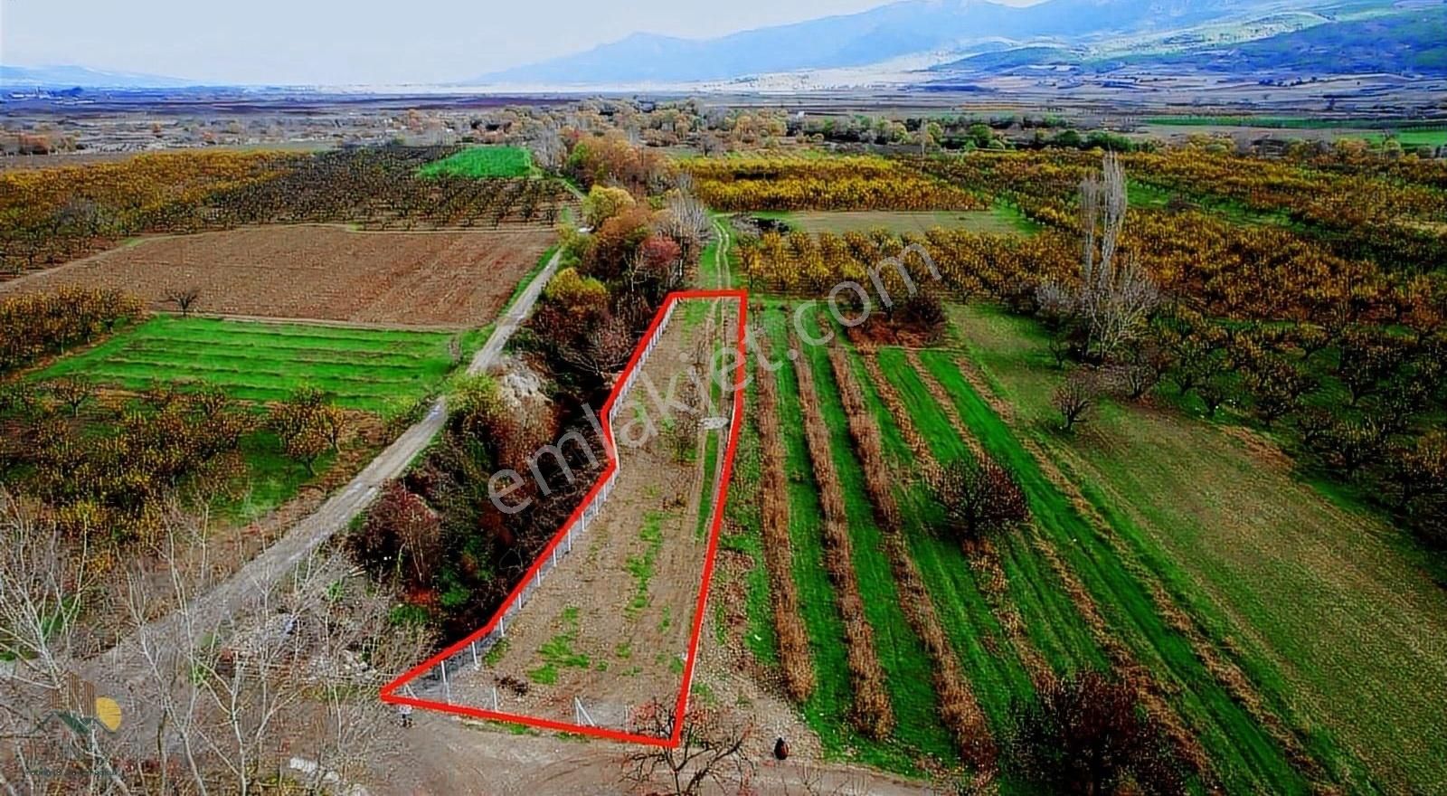Sakarya Pamukova Mekece Mahallesi İmar Sınırında 1270m2 Bağçe