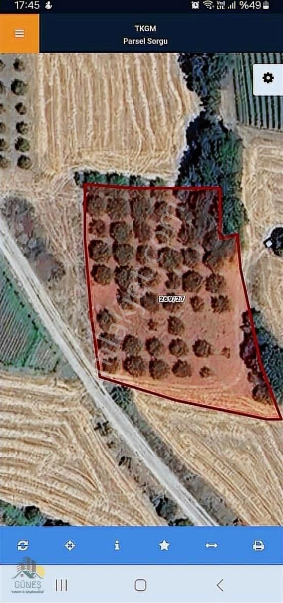 Pamukova Ağlan 2750 M2 Meyva Bahçesi