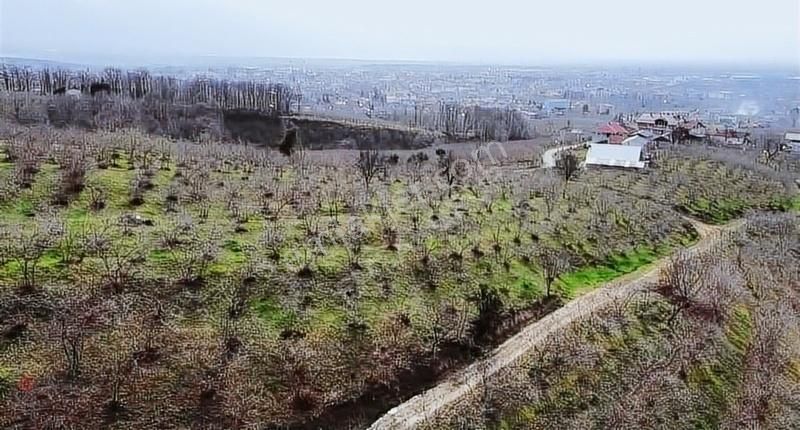 Emlakgrup'tan Hendek'te Villalık Arazi