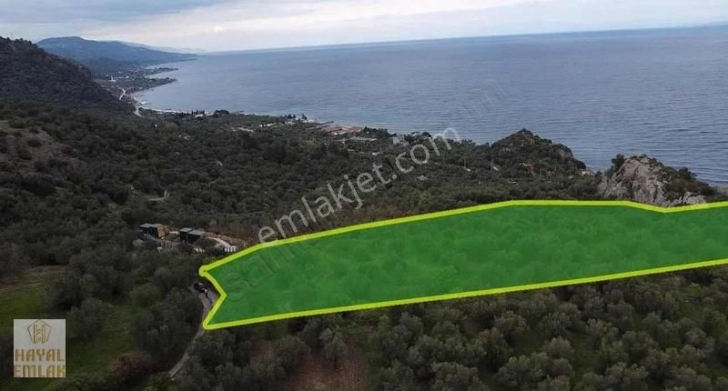 Assos Kozlu Köyünde Fuul Deniz Manzarası Hayallerin Çok Ötesinde