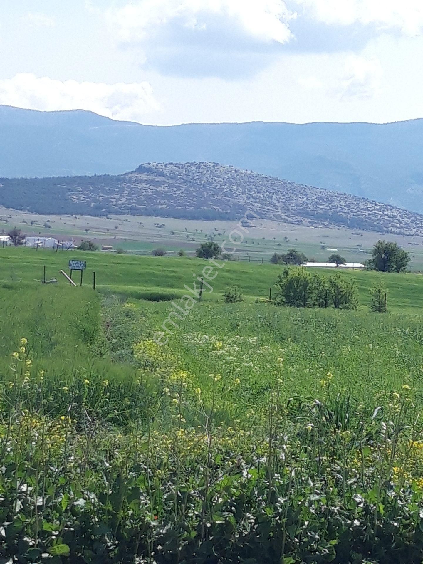 Bozova Asvaltina 20 Metre 24878m² - Görsel 4