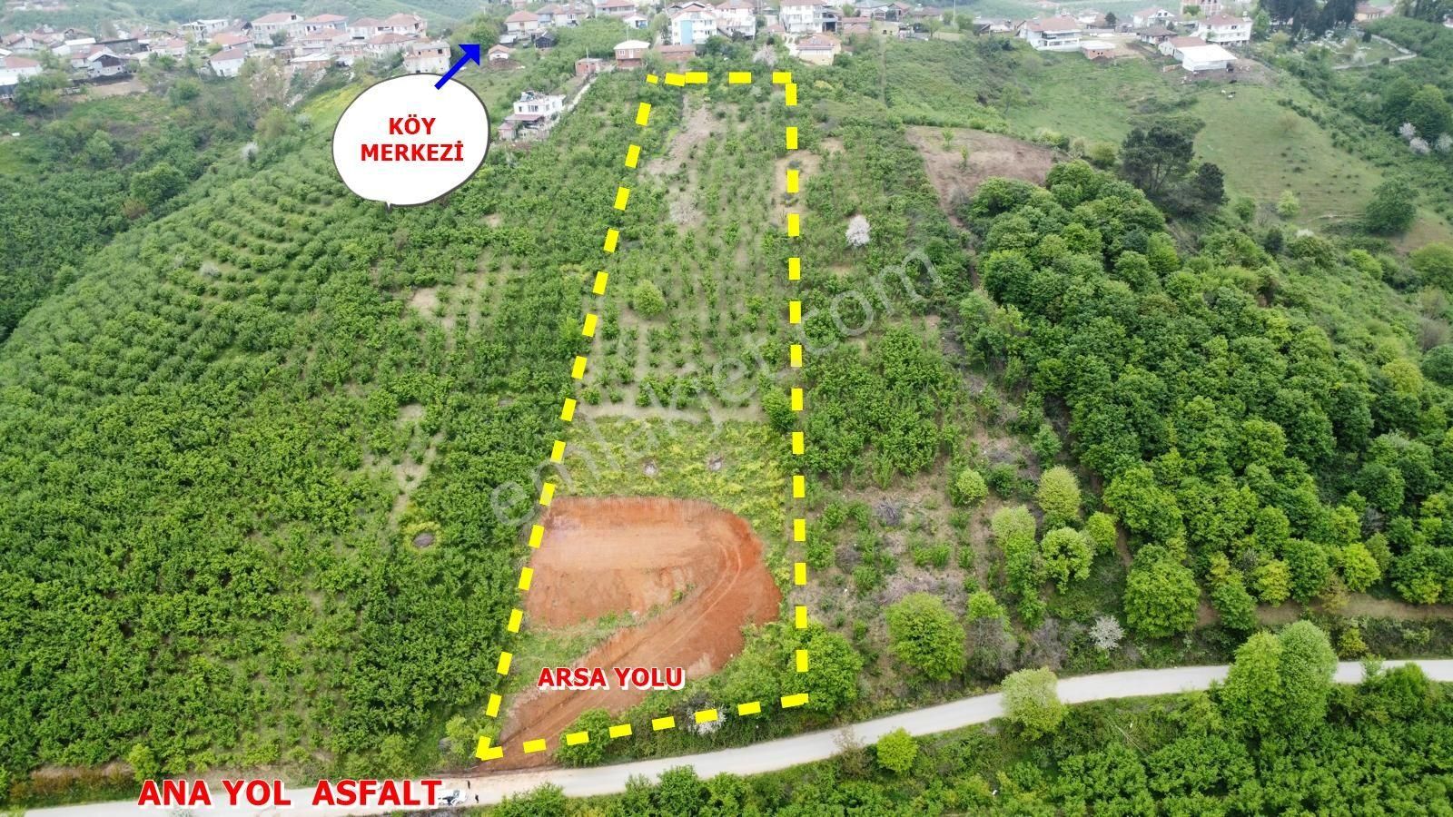 Köy İçi Ev Yapımı Ve Tarıma Uyğun Fındık Bahçesi 5983 M2 Tek Tapu