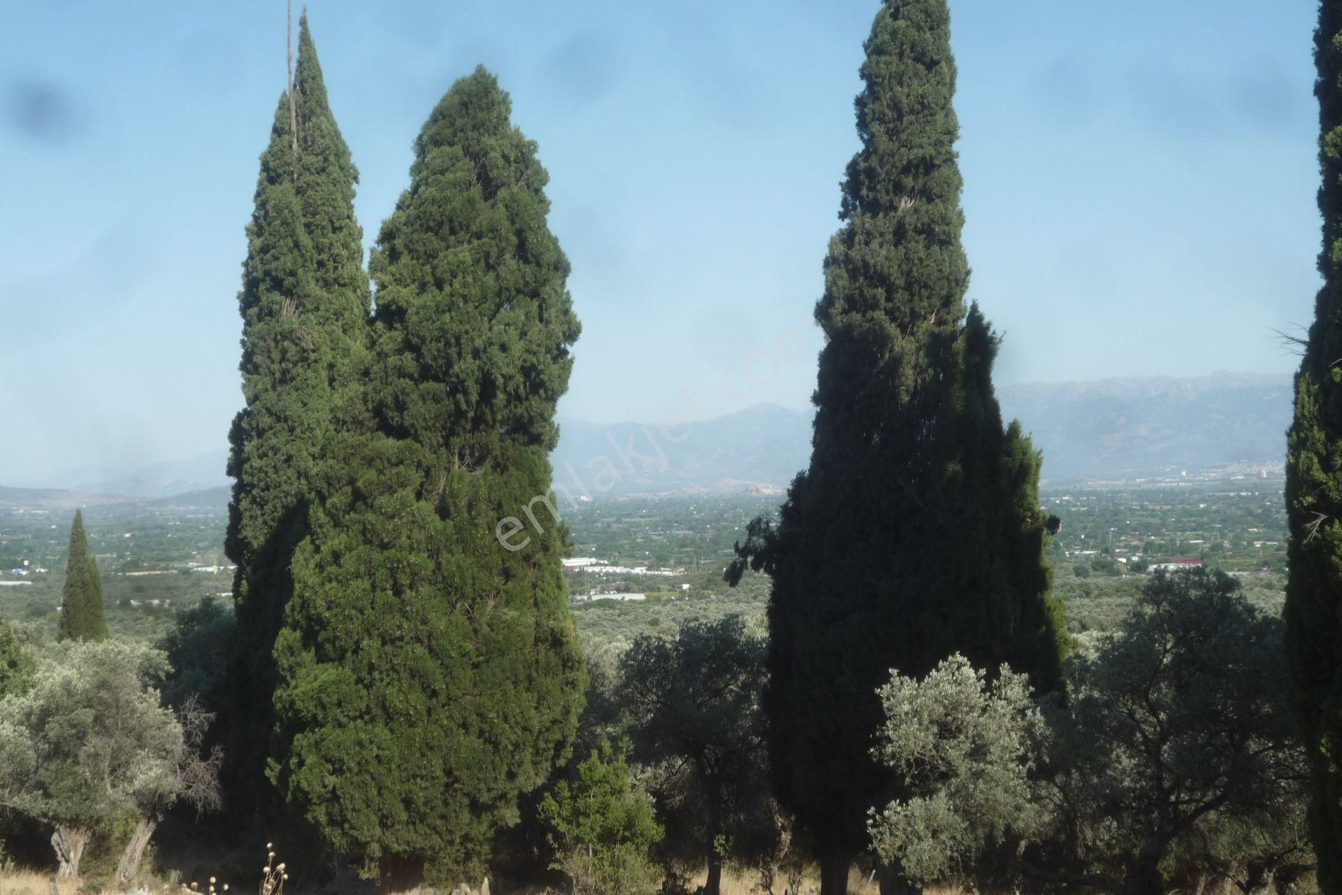 İzmir Torbalı Gold Emlaktan Satılık Avlulu Kargil Ev - Görsel 8