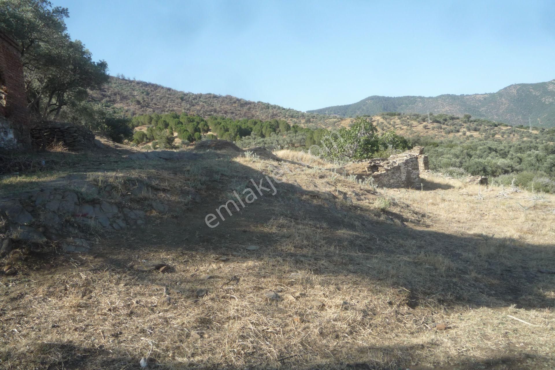 İzmir Torbalı Gold Emlaktan Satılık Avlulu Kargil Ev - Görsel 6