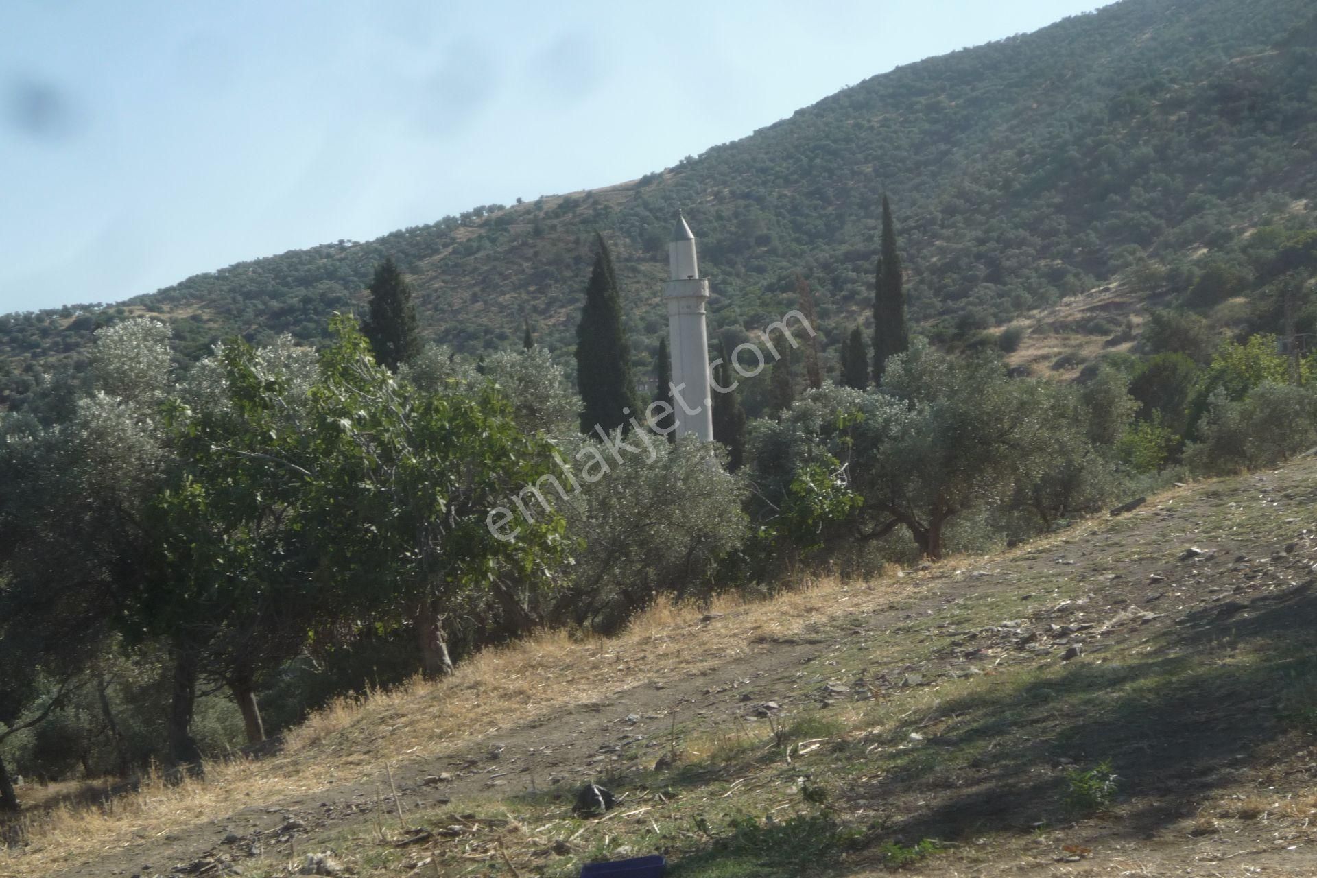 İzmir Torbalı Gold Emlaktan Satılık Avlulu Kargil Ev - Görsel 11