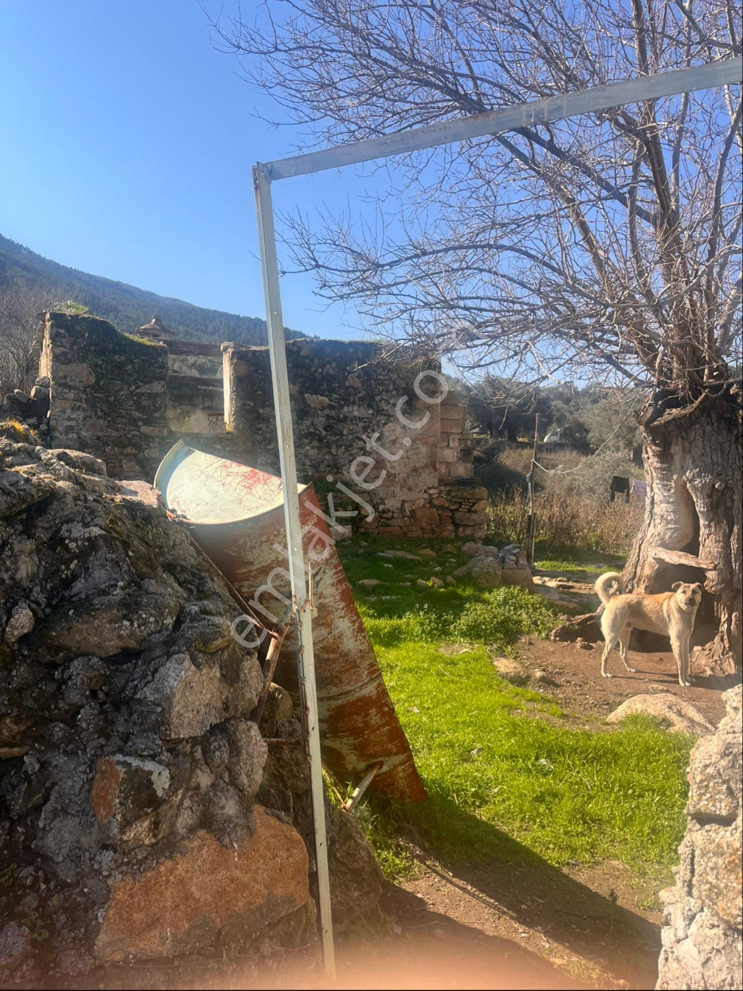 Kaçırılmayarak Fırsat