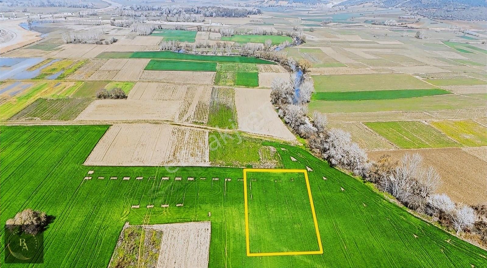Bal'dan Hürriyet Teknosab Yanında Satılık 1.453 M2 Tarla
