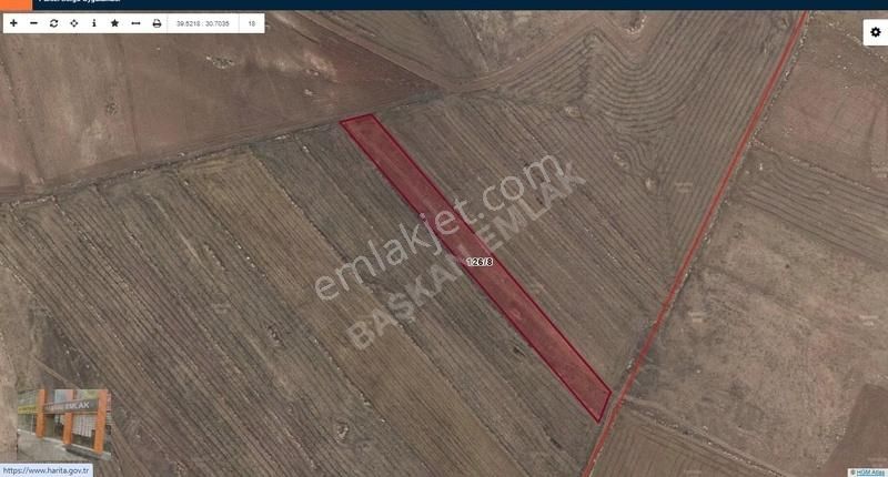 Başkan Emlaktan Satılık Seyitgazi Ayvalı Köyünde 5.460 M2 Tarla