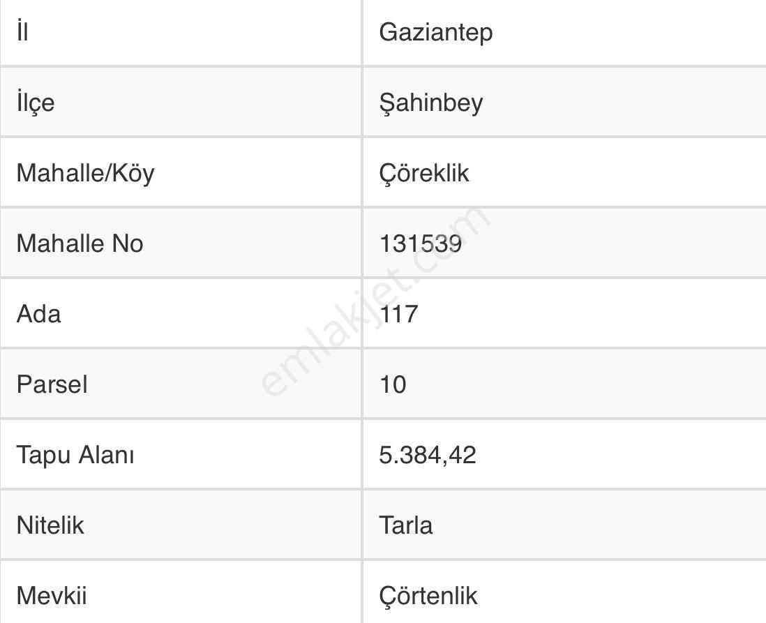 Royalest Ten Çöreklikte Çift Yollu Bağ