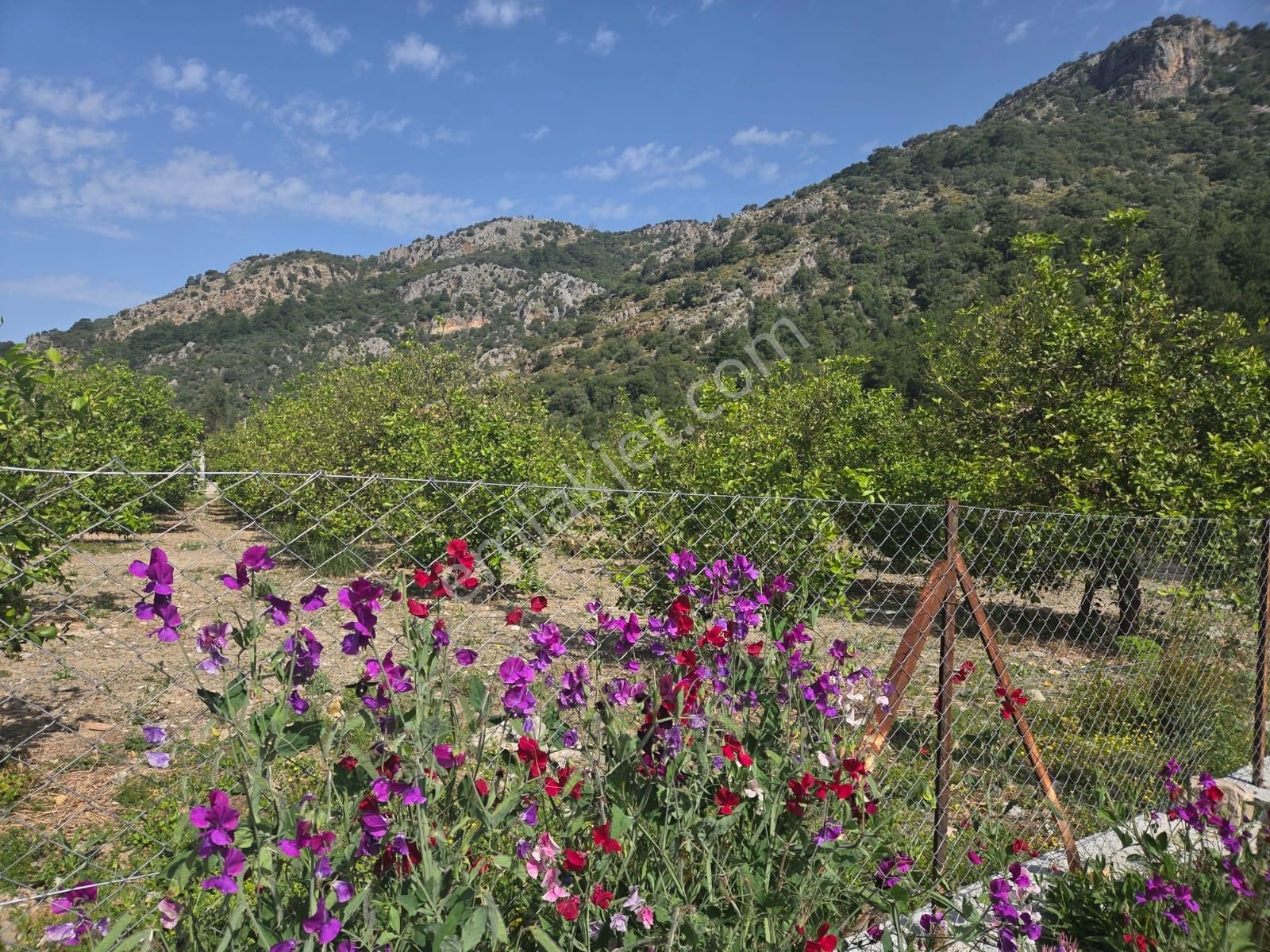 Mergenli'de 720m2 Arsa Satılık