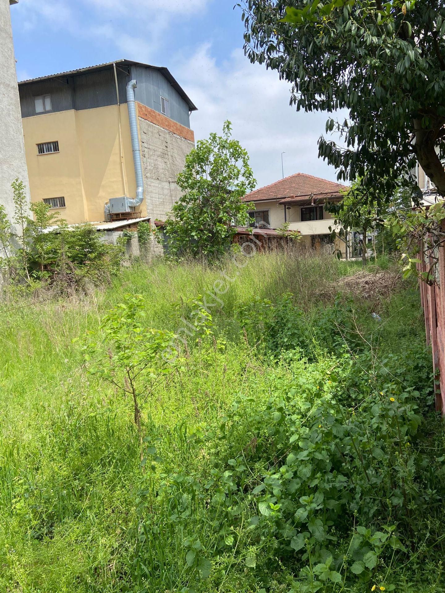 1 Donum İcin De Satılık Mustakıl - Görsel 3