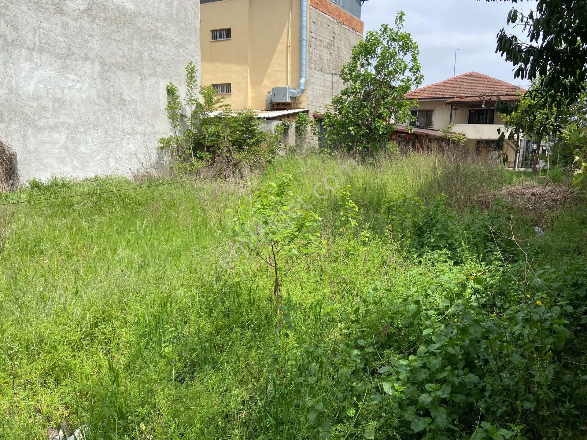 1 Donum İcin De Satılık Mustakıl - Görsel 4