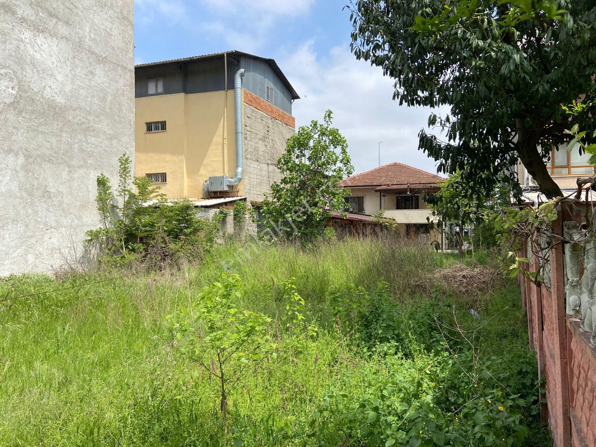 1 Donum İcin De Satılık Mustakıl - Görsel 5