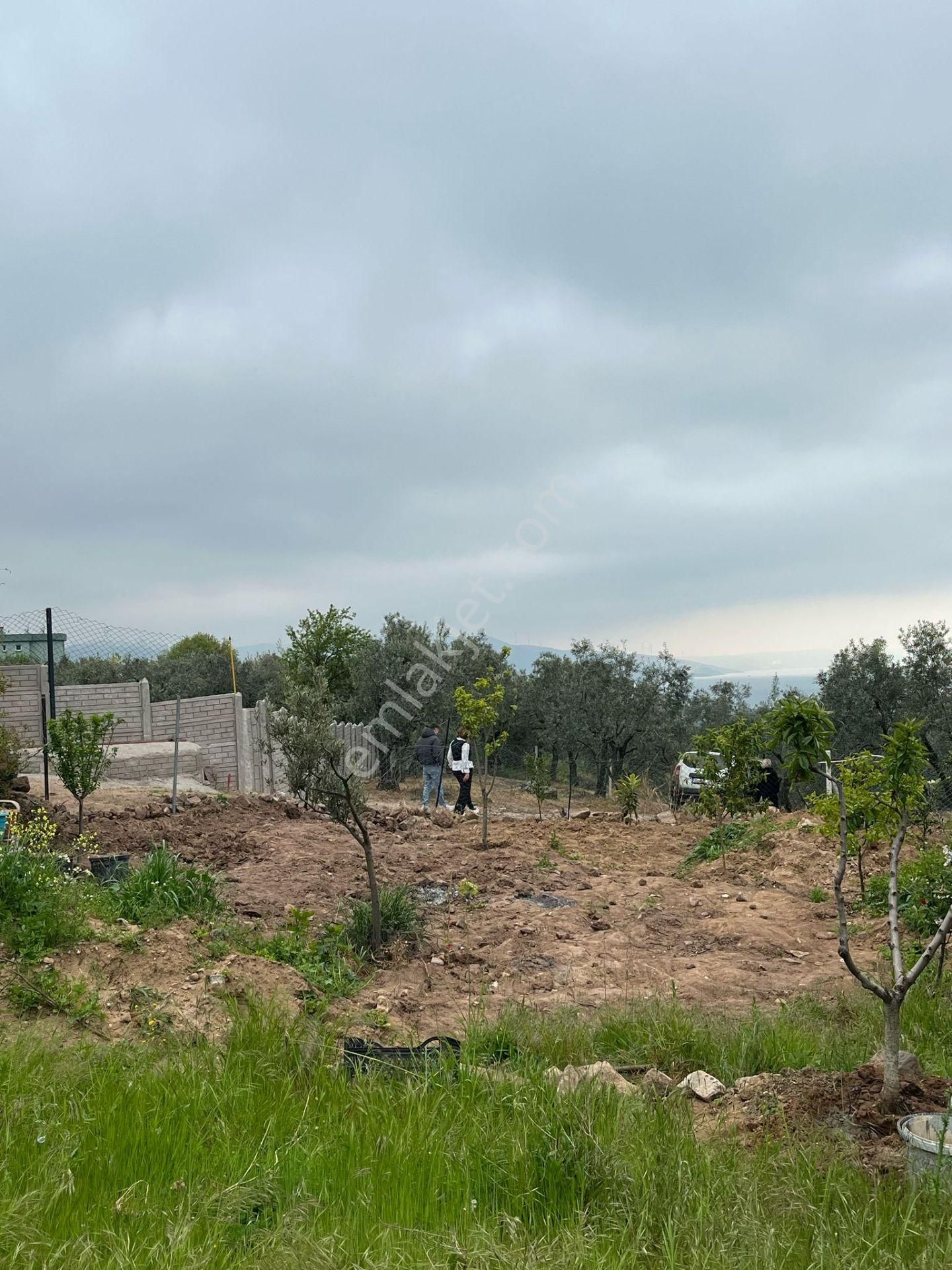 Erdek Hamamlı Mahallesinde İçerisinde Tiny House Bulunan Satılık Arazi - Görsel 3
