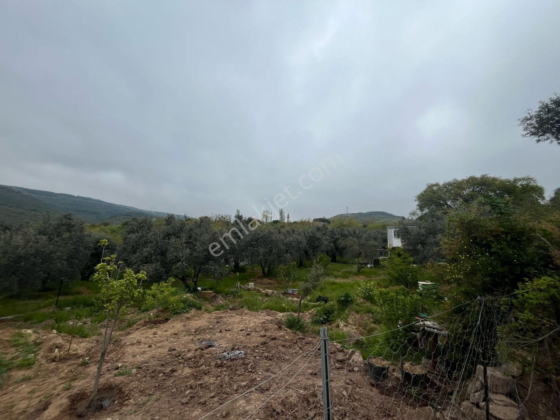 Erdek Hamamlı Mahallesinde İçerisinde Tiny House Bulunan Satılık Arazi - Görsel 28