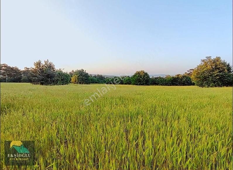 Ekşioğlu Gyd Kütahya Soğukçeşme De 5400 M2 Tk Tapu Satılık Tarla
