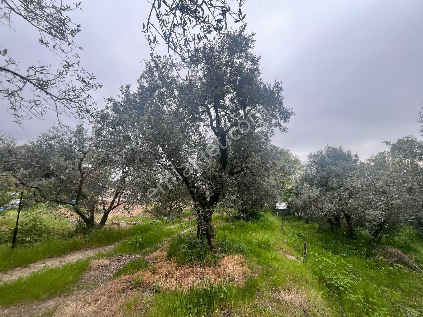 Erdek Hamamlı Mahallesinde 206 M2 Deniz Manzaralı Satılık Arazi - Görsel 7