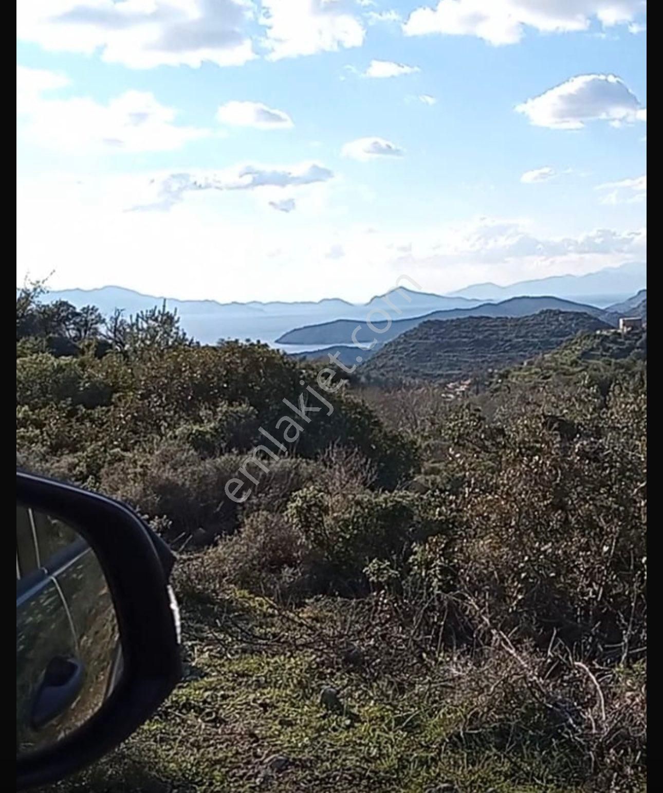 Lorus’tan Marmaris Söğüt’te Satılık 983 M2 Tarla