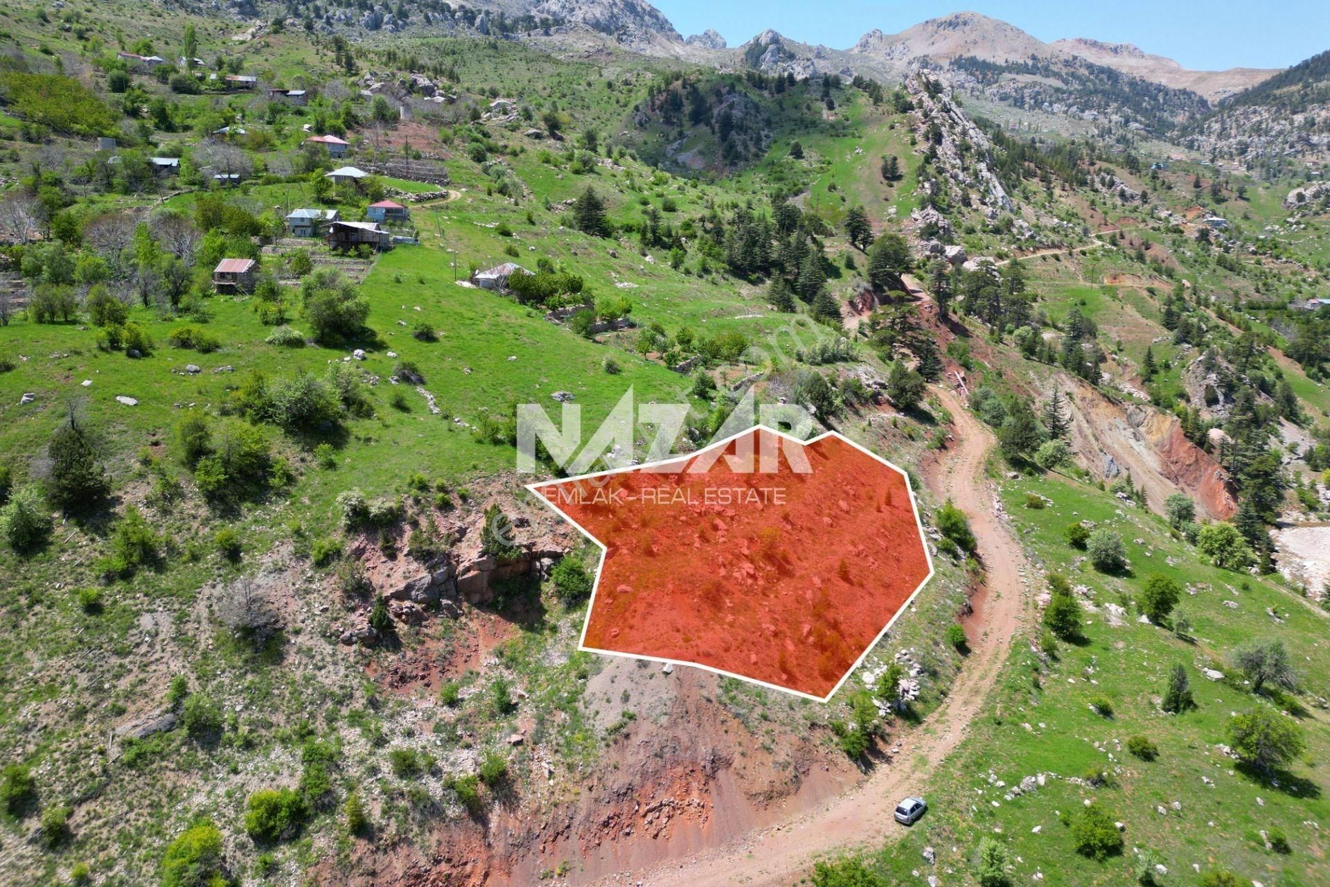 Alanya Şıhlar Köyü Çayarası’nda 1.817 M² Satılık Tarla