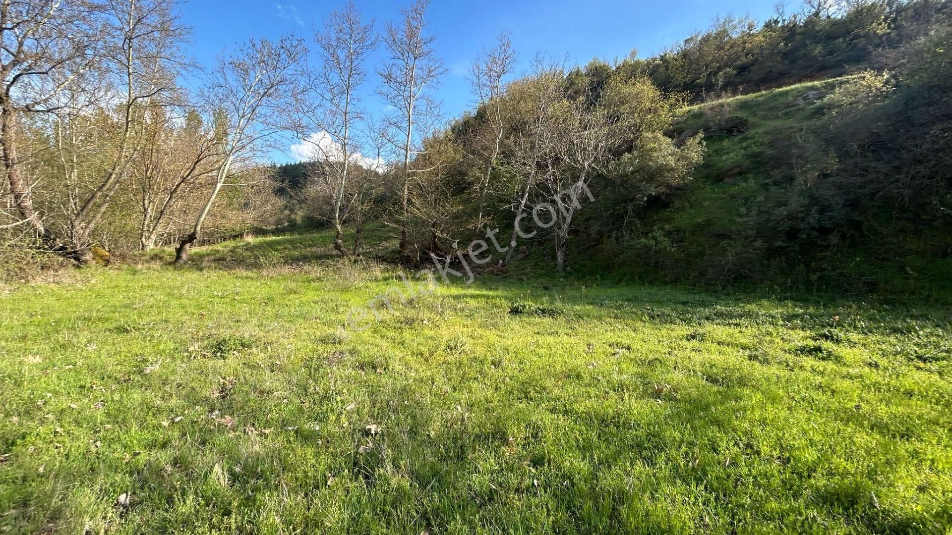 549 M2 Dereye Cephe Köyün Dibinde Bahçe