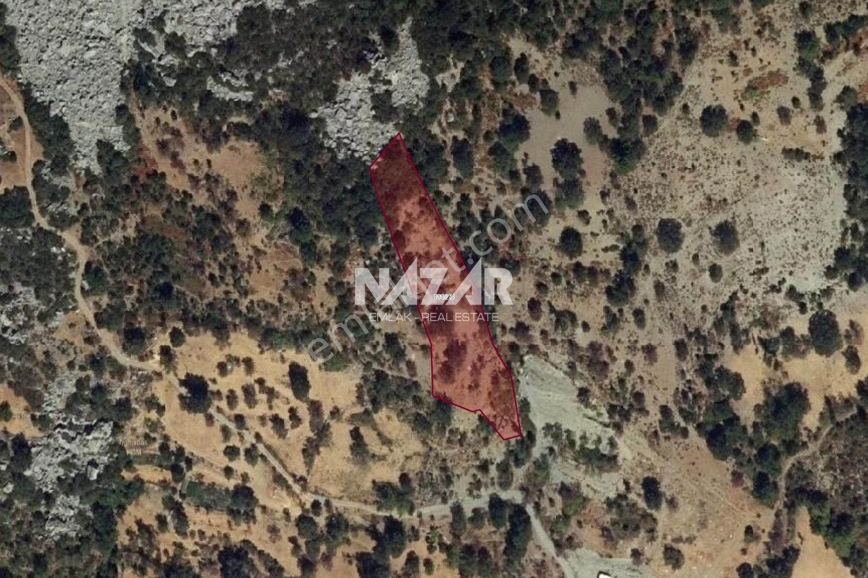 Alanya Yaylakonak Köyü’nde 3.793 M² Satılık Tarla
