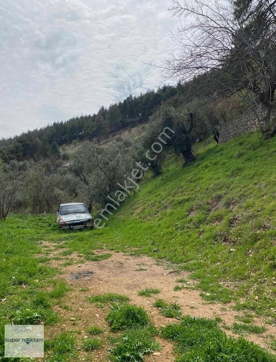 Pınarbaşında Satılık Bahçe