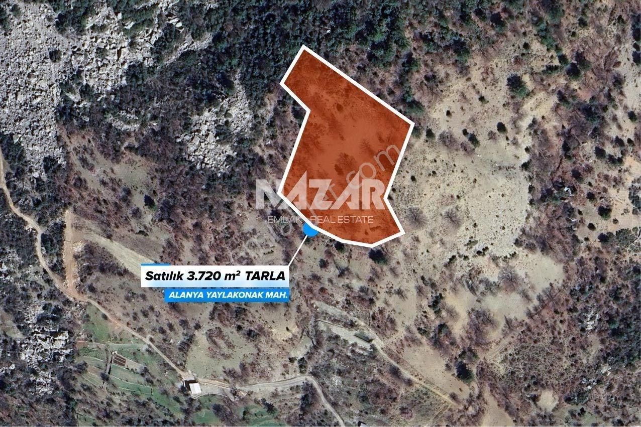 Alanya Yaylakonak Köyü’nde 3.720 M² Satılık Tarla
