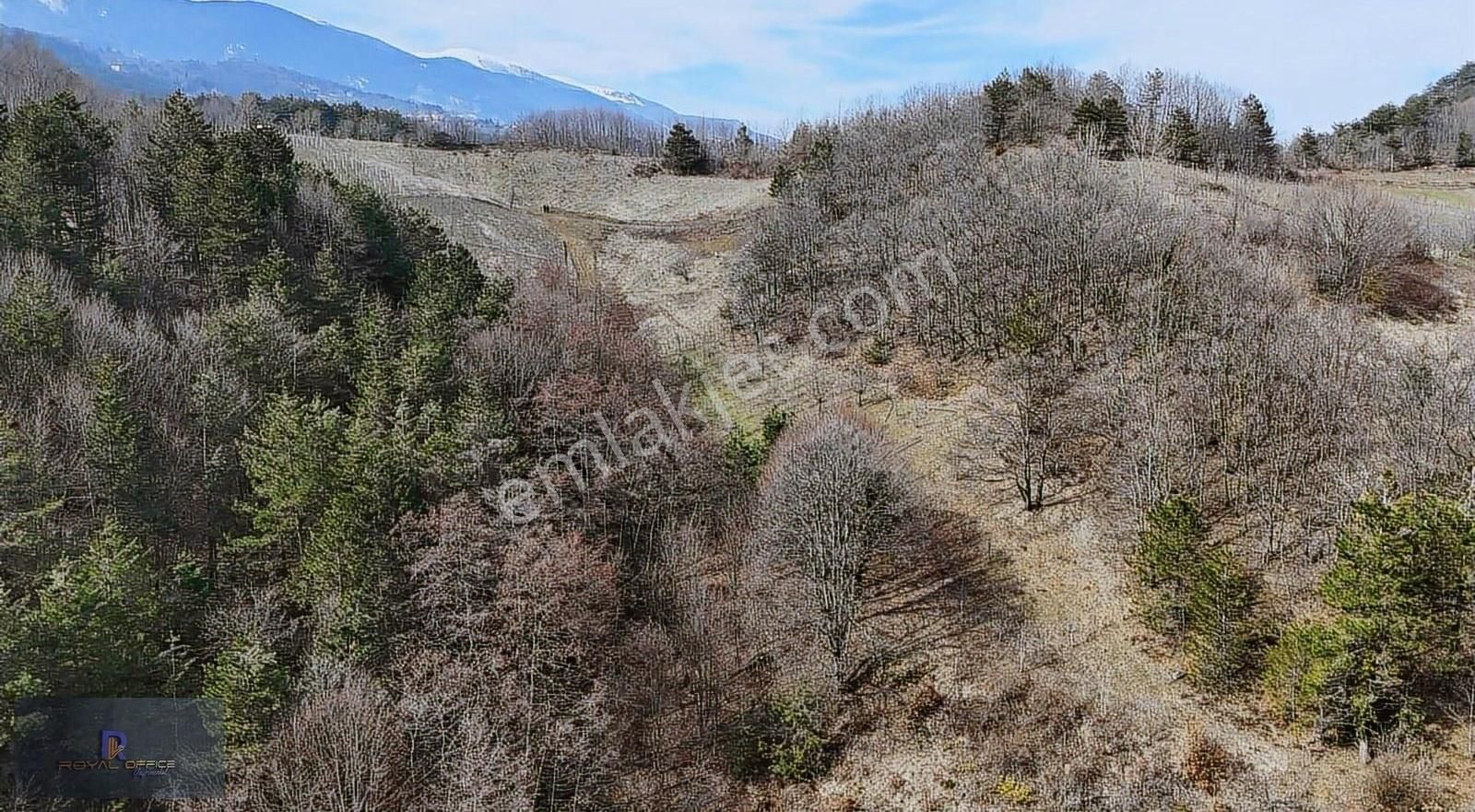 Royal Office Den Kestel Lütfiye Mah. Satılık 1995 M2 Arazi