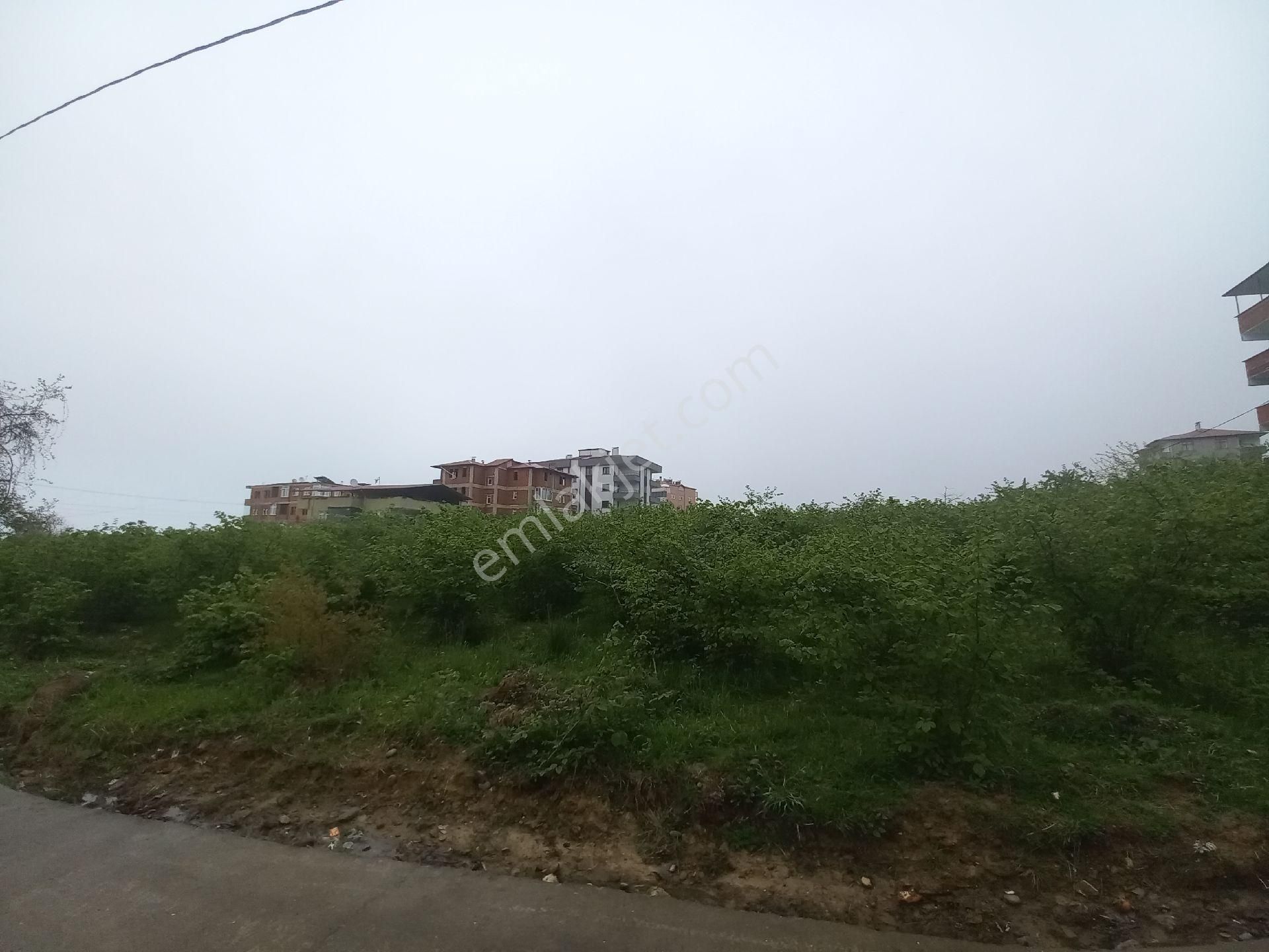 Doğuş Gayrimenkul Arsin Yalı Da Satılık Konut İmarlı Arsa