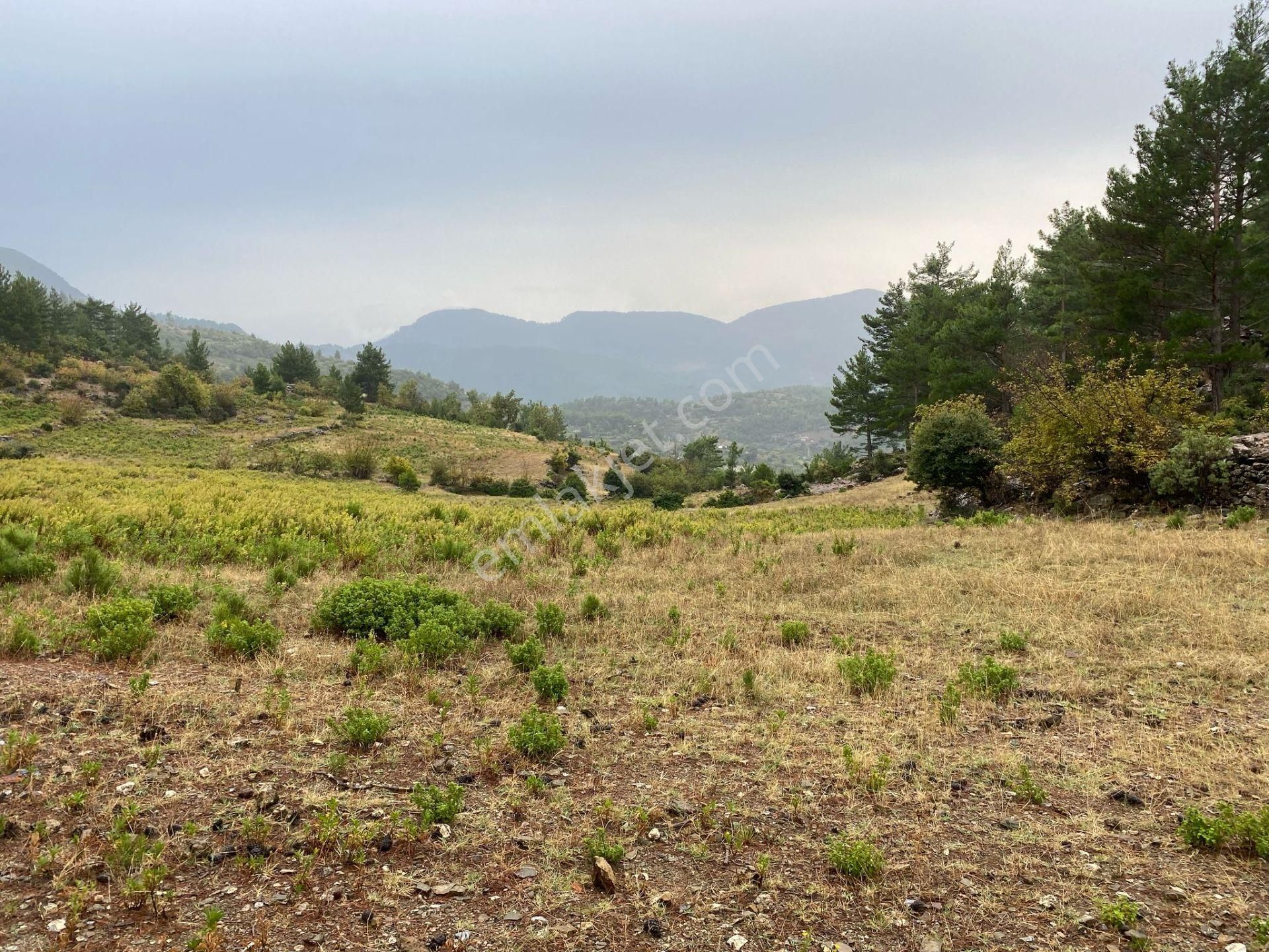 Yatırımlık 14 Dönüm Tarla