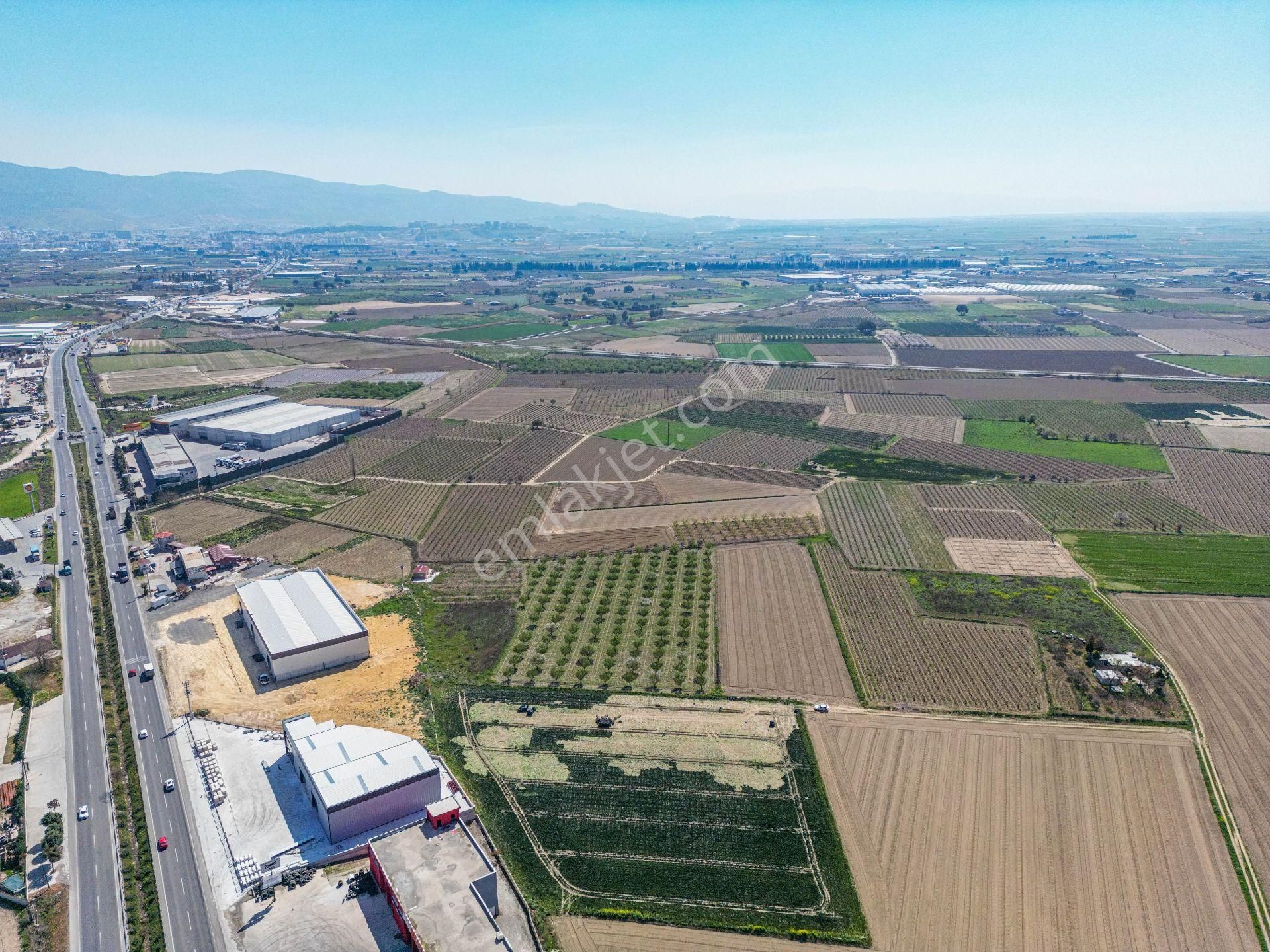 İzmir Çanakkale Yoluna Yakın Satılık Bağ