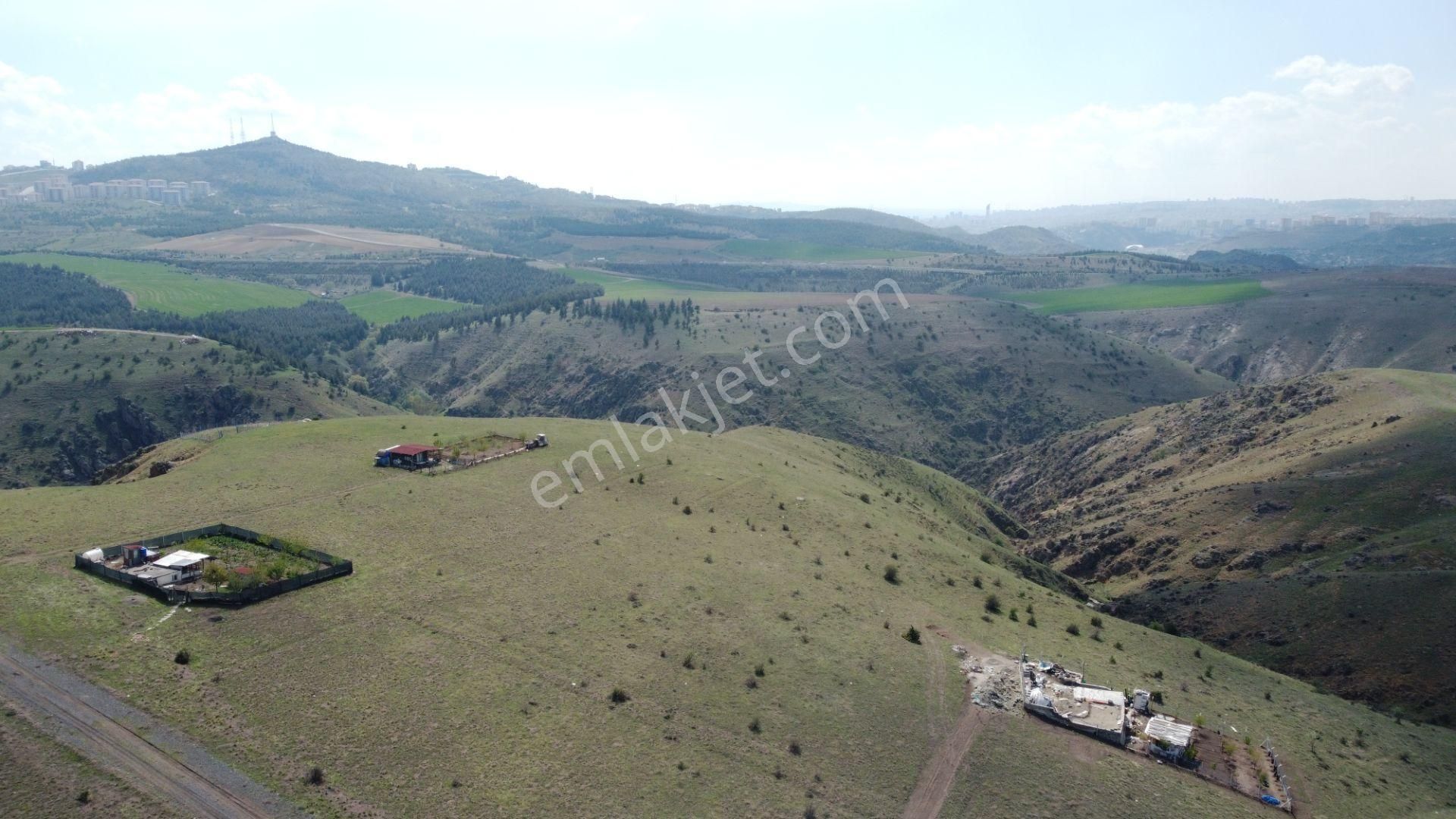 **altındağ Gicik Mahallesinde 500 Metre İmarlı Tek Tapu*** - Görsel 24