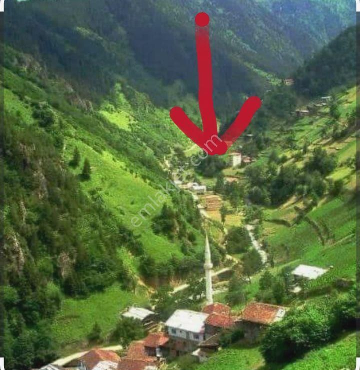Çaykara Uzungöle 20 Dakika Mesafede İmarlı Arsa 400 Metrekare 2 Parsel Yanyana