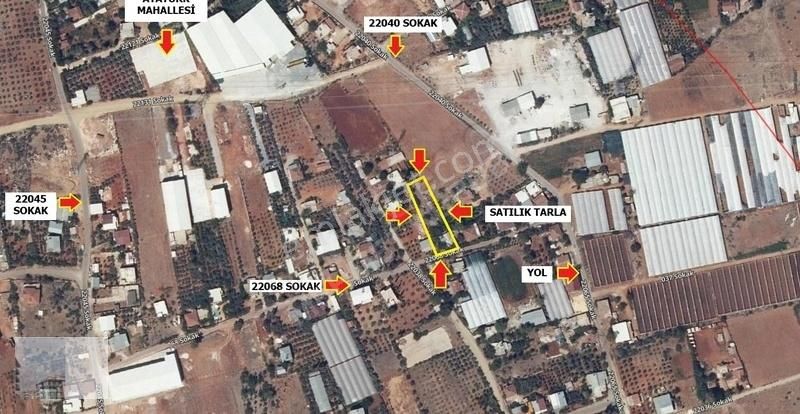 Mk Emlak'ta Antalya Aksu Depo Yapımına Uygun 982m2 Kiralık Tarla