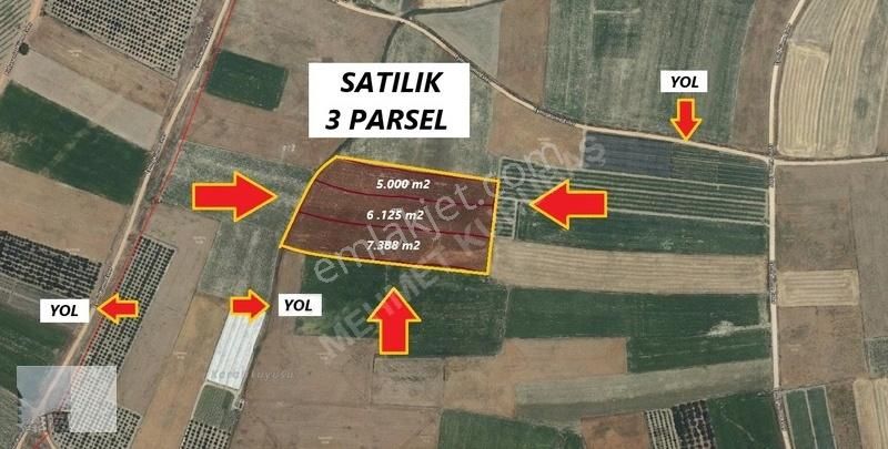 Mehmet Kurubaş Emlak'ta Eymir Köyü Satılık 3 Ayrı Parsel Tarla