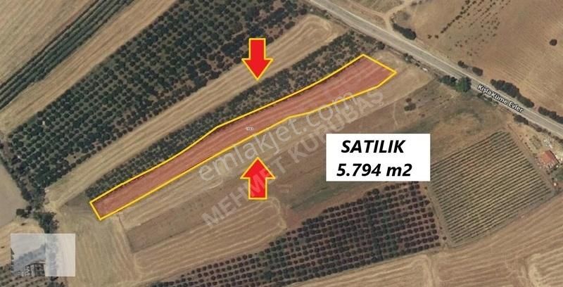 Mehmet Kurubaş Emlak'ta Kışla Kızılyerler Mevkii Satılık Tarla