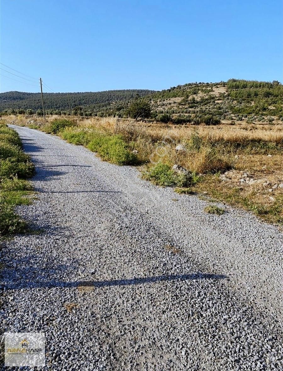Milas Çamköy Çıkışı Kayaderesı Gökbelde Asvlatta Sıfır Tarla - Görsel 14