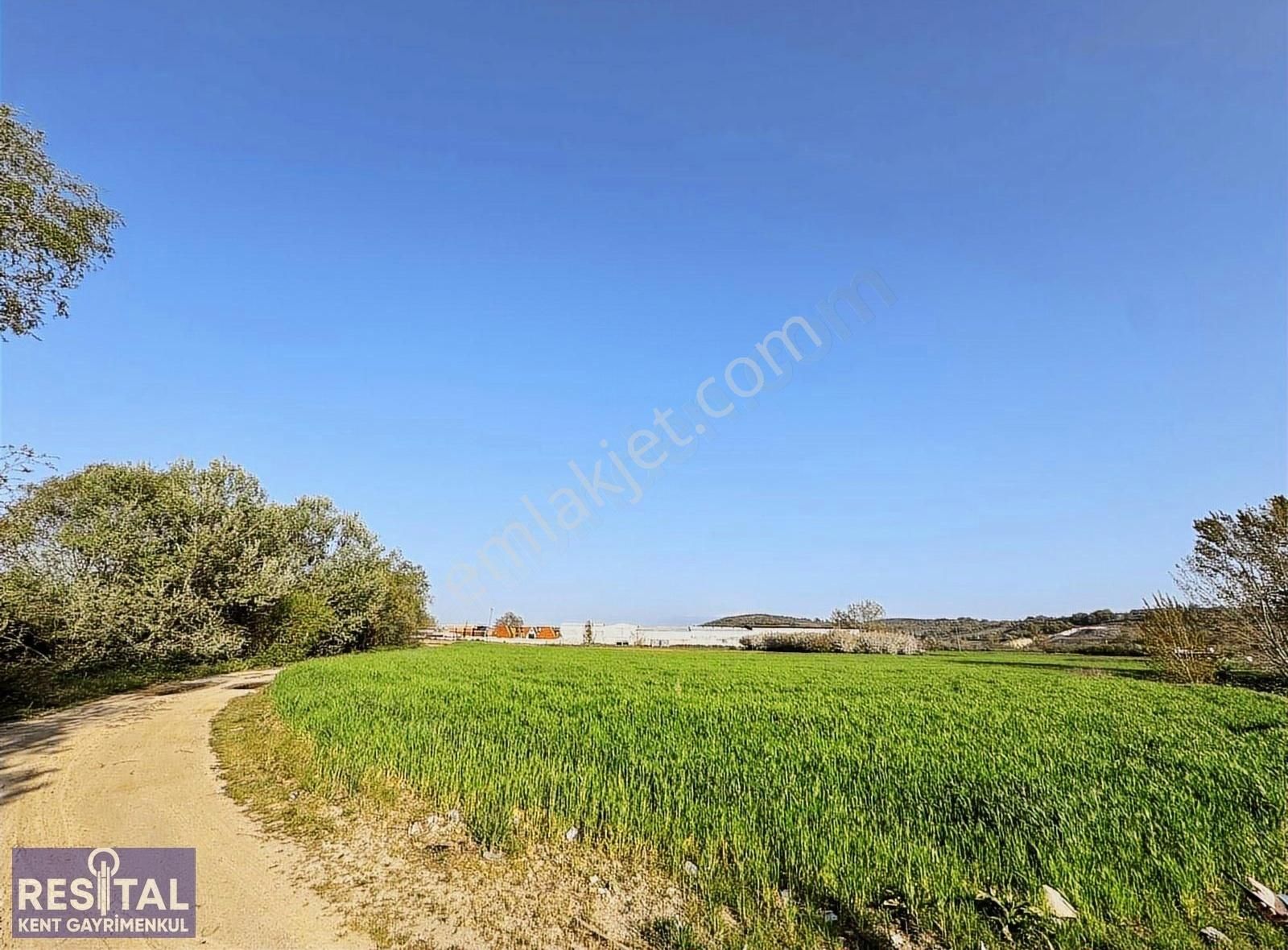 Mudanya Çekriçede Yola Cepheli Yatırıma Uygun Ticari Arazi - Görsel 9