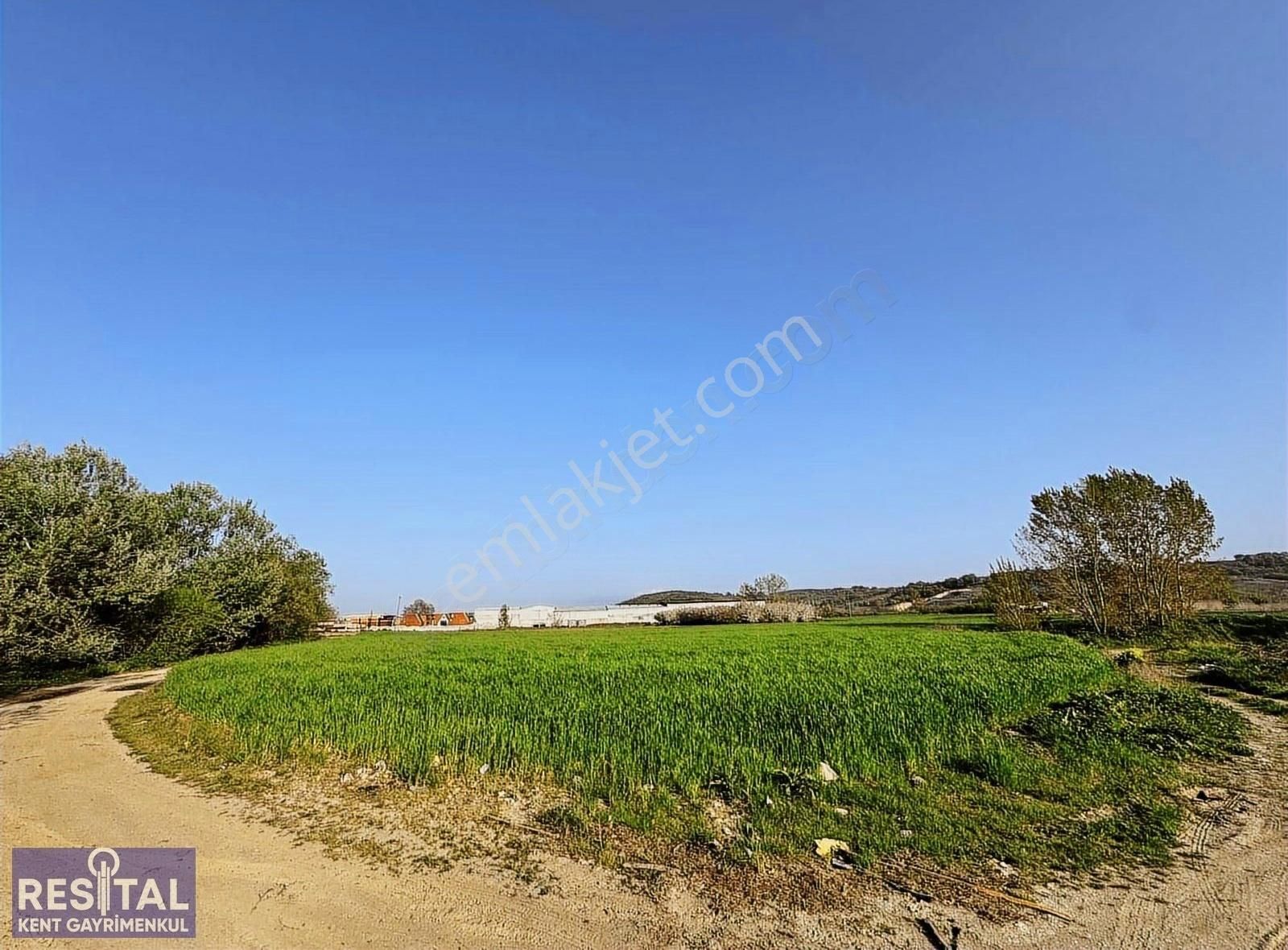 Mudanya Çekriçede Yola Cepheli Yatırıma Uygun Ticari Arazi - Görsel 2