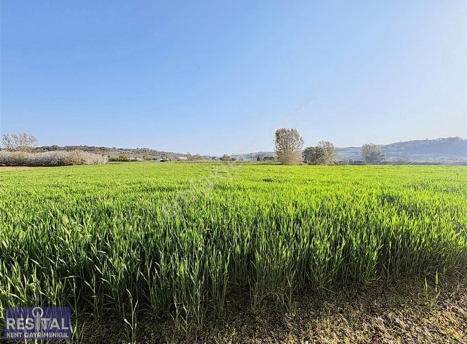 Mudanya Çekriçede Yola Cepheli Yatırıma Uygun Ticari Arazi - Görsel 8