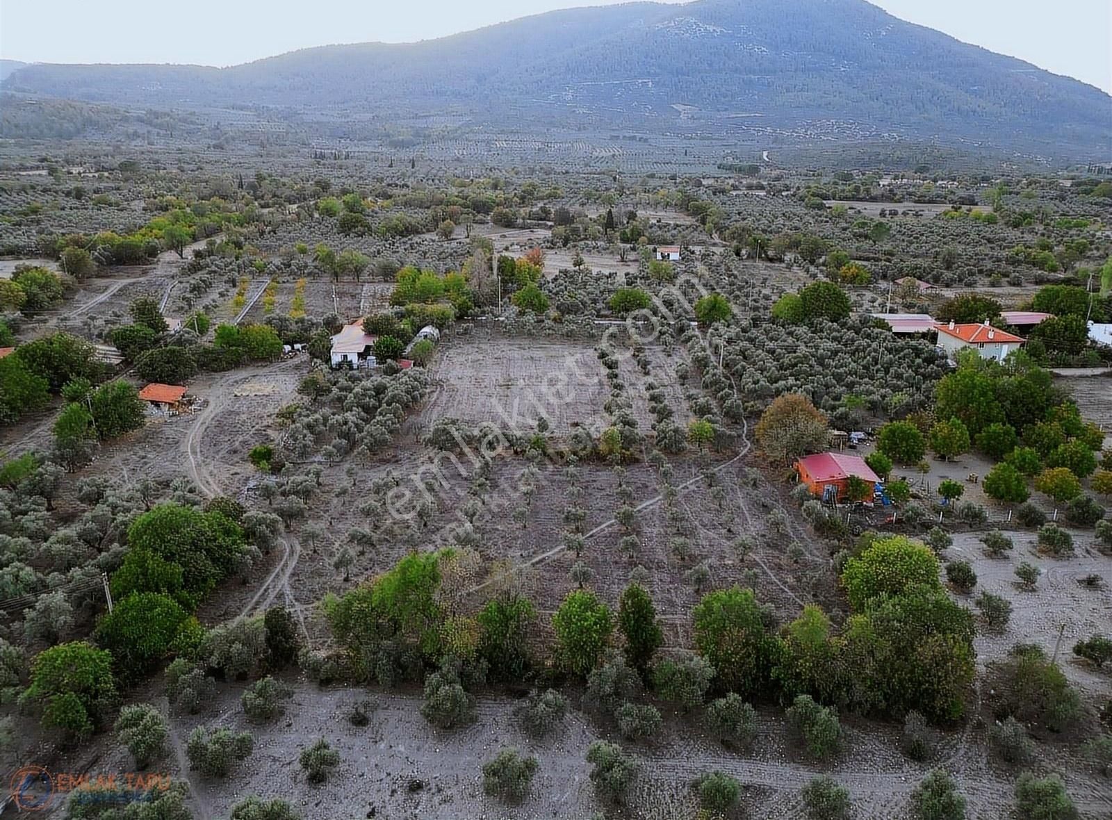 Emlak Tapu Gayrimenkul'den 3339 M2 Satılık Tarla