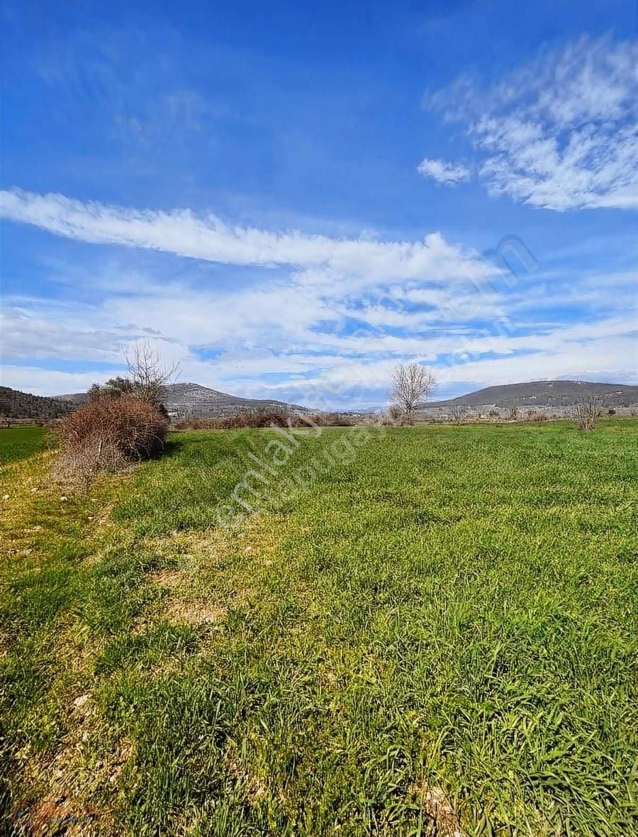 Muğla Menteşe Yeşilyurt Mah. Satılık Tarla