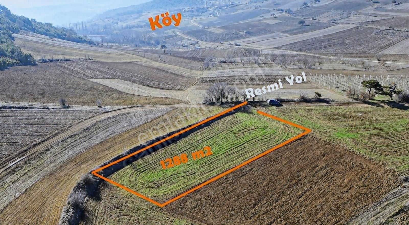 1288 M2 Yol Kenarı Arazi